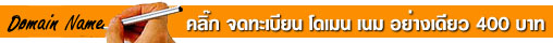 ��ͧ��è�����¹ Domain Name ���ҧ���� 400 �ҷ ��ͻ�