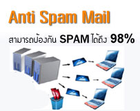 การใช้บริการ Hosting